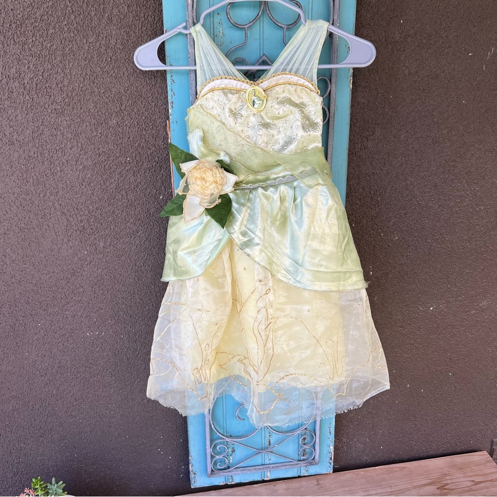 Disney Store Princess Tiana The Princess And The Frog Costume Size 3